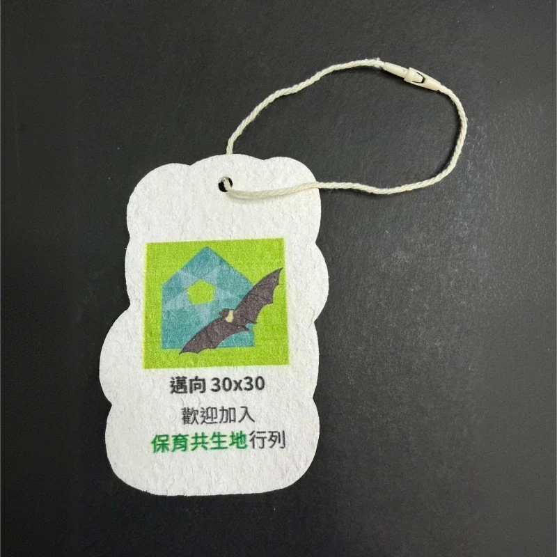 木漿海綿